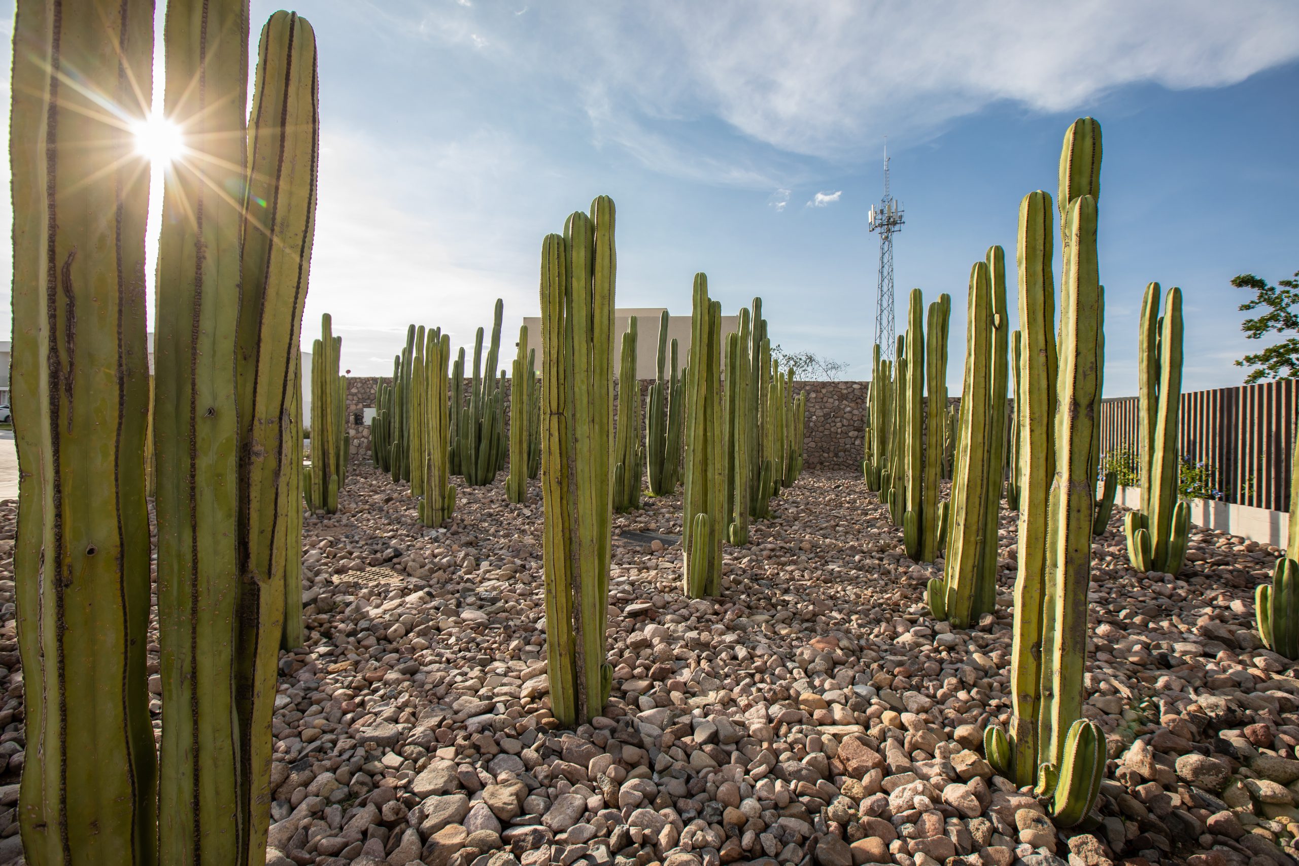 Lotes Residenciales en Cañadas del Arroyo (Corregidora): 150,000 m² de áreas verdes y zonas naturales. - Image 27