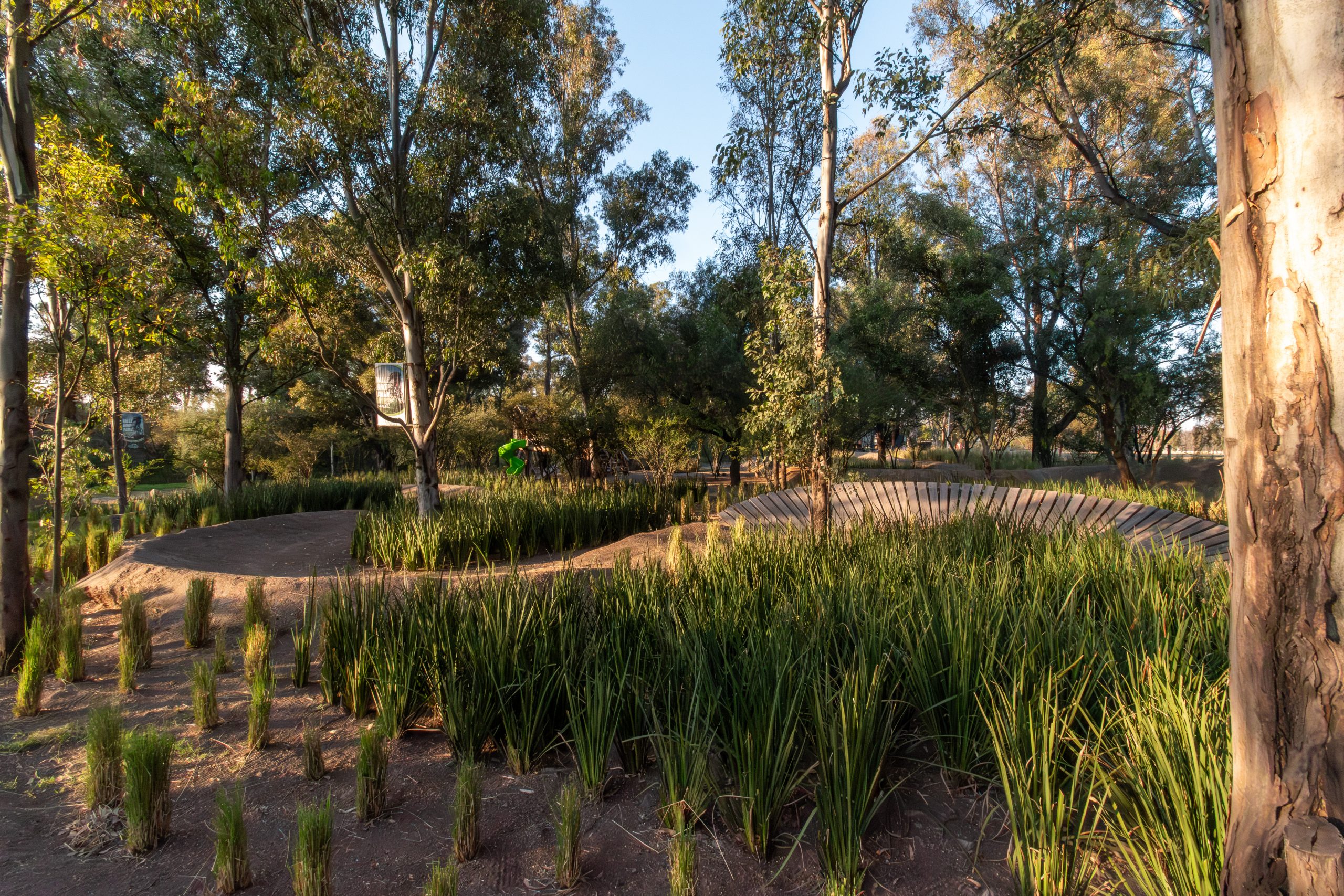 Lotes Residenciales en Cañadas del Valle: Tu Oasis de Tranquilidad - Image 14
