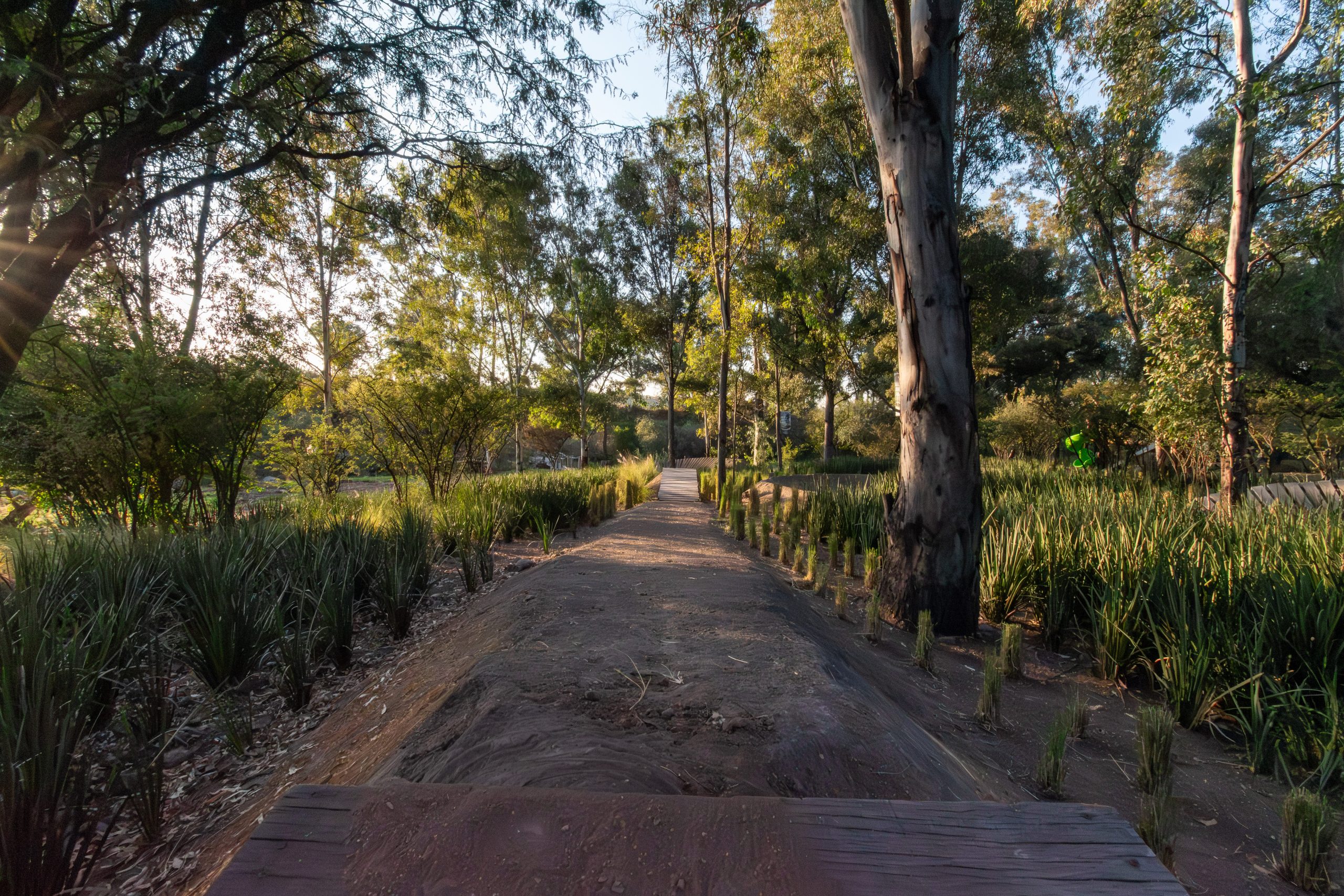 Lotes Residenciales en Cañadas del Valle: Tu Oasis de Tranquilidad - Image 16