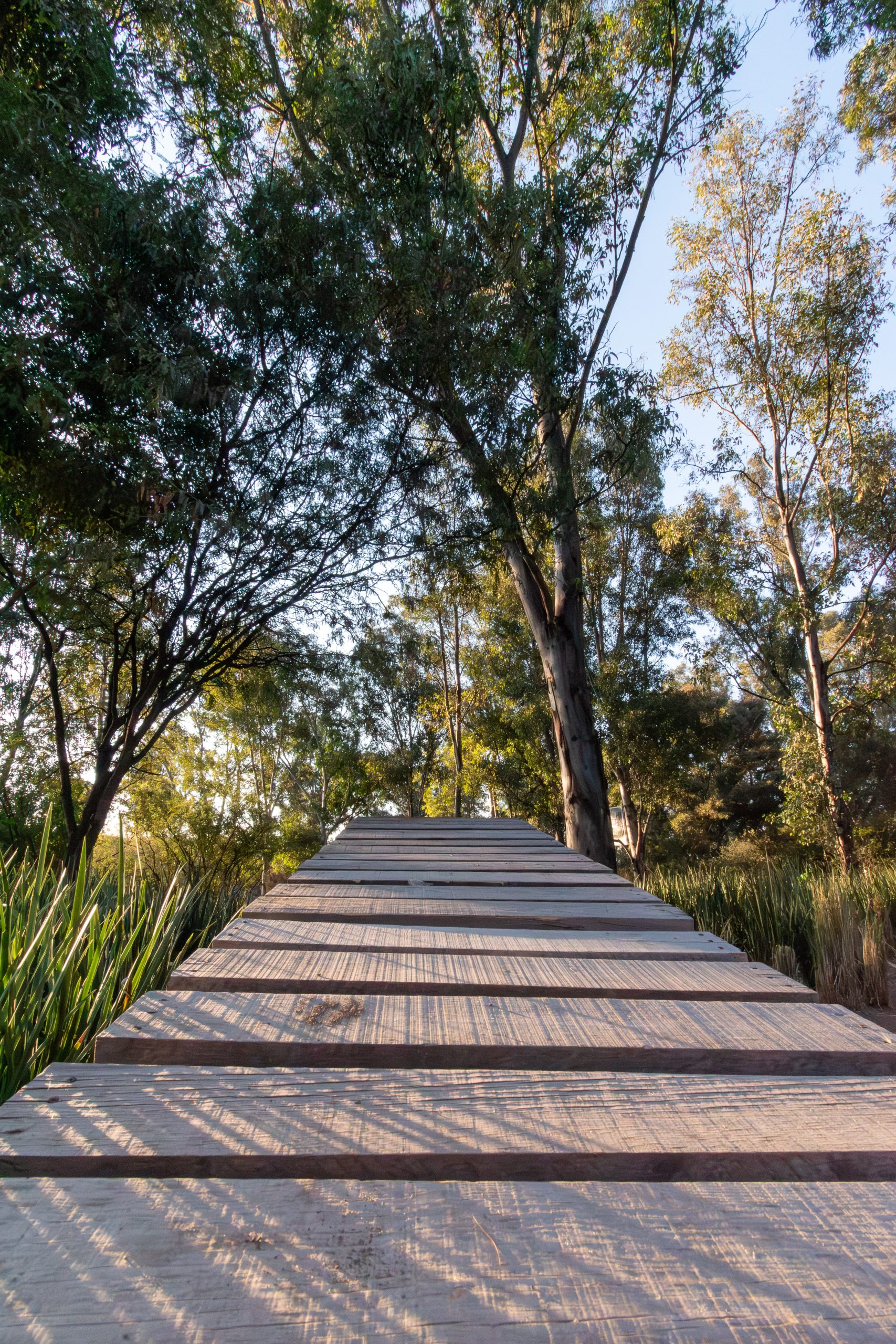 Lotes Residenciales en Cañadas del Valle: Tu Oasis de Tranquilidad - Image 34