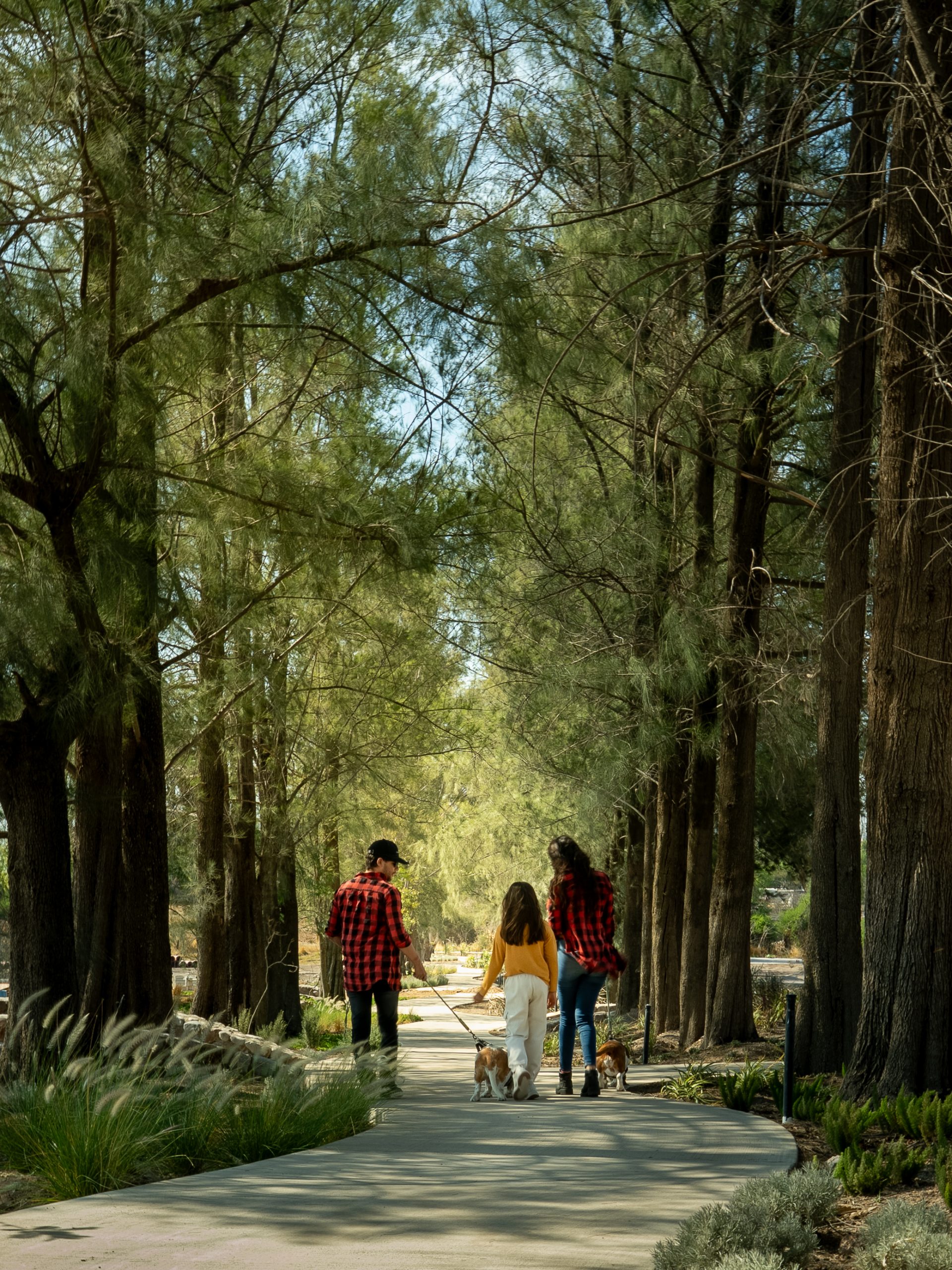 Lotes Residenciales en Cañadas del Valle: Tu Oasis de Tranquilidad