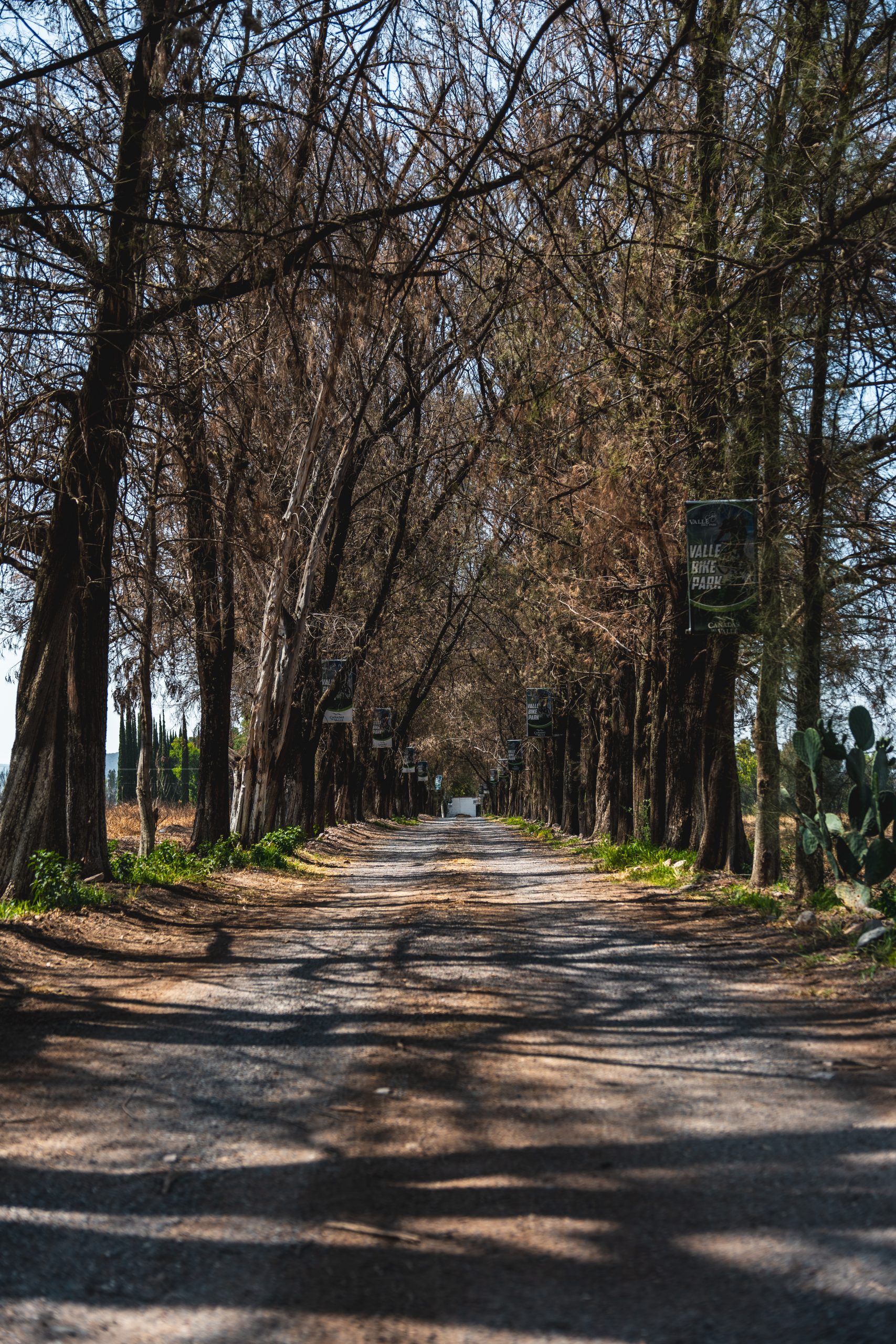 Lotes Residenciales en Cañadas del Valle: Tu Oasis de Tranquilidad - Image 7