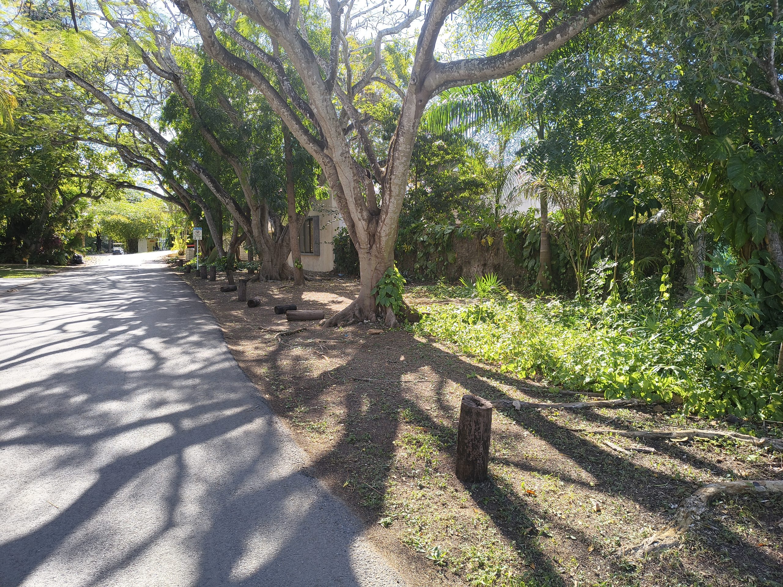 Casa en Mérida, Residencia "Naj Táankab" (La Casa de los Patios) – Club de Golf La Ceiba, Mérida - Image 22