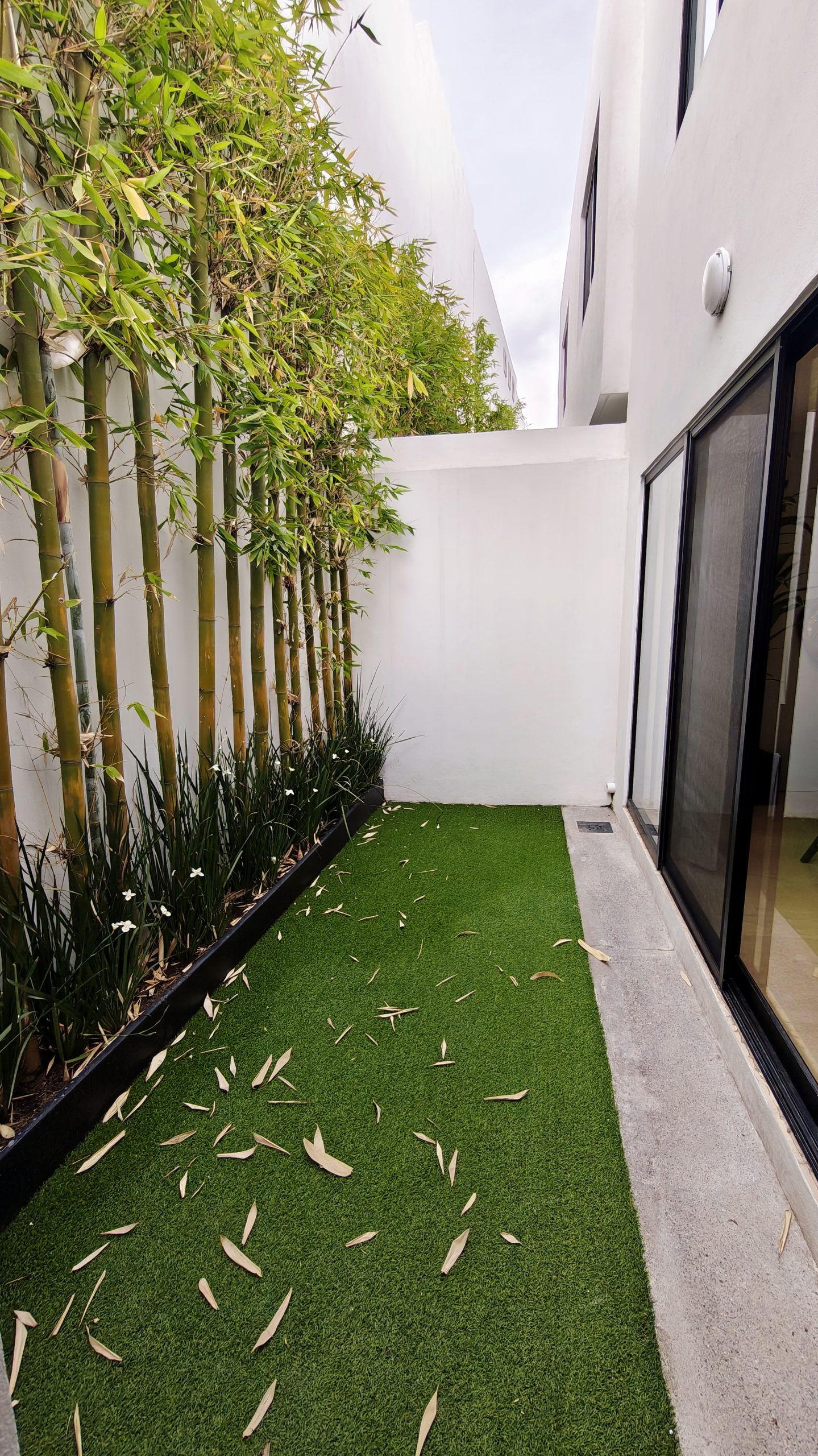 Casa Residencial Modelo Olivo Premium con 4 Recámaras + Roof Garden - Los Robles II Zibatá - Image 14