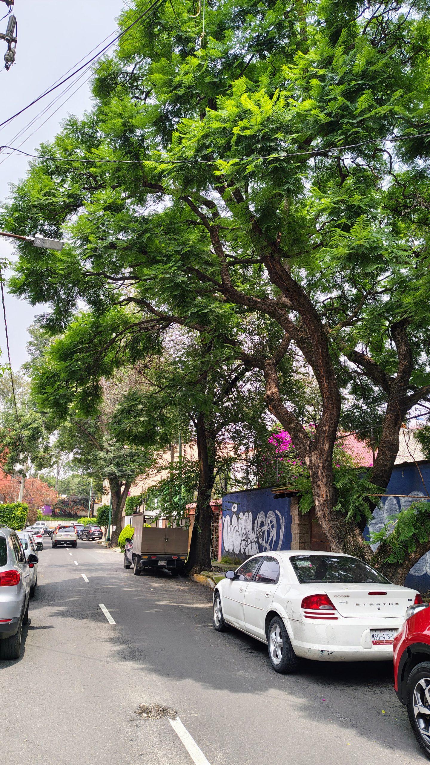 Departamento en Venta en Coyoacán: Oportunidad Única a $2.89 MDP - Imagen 33