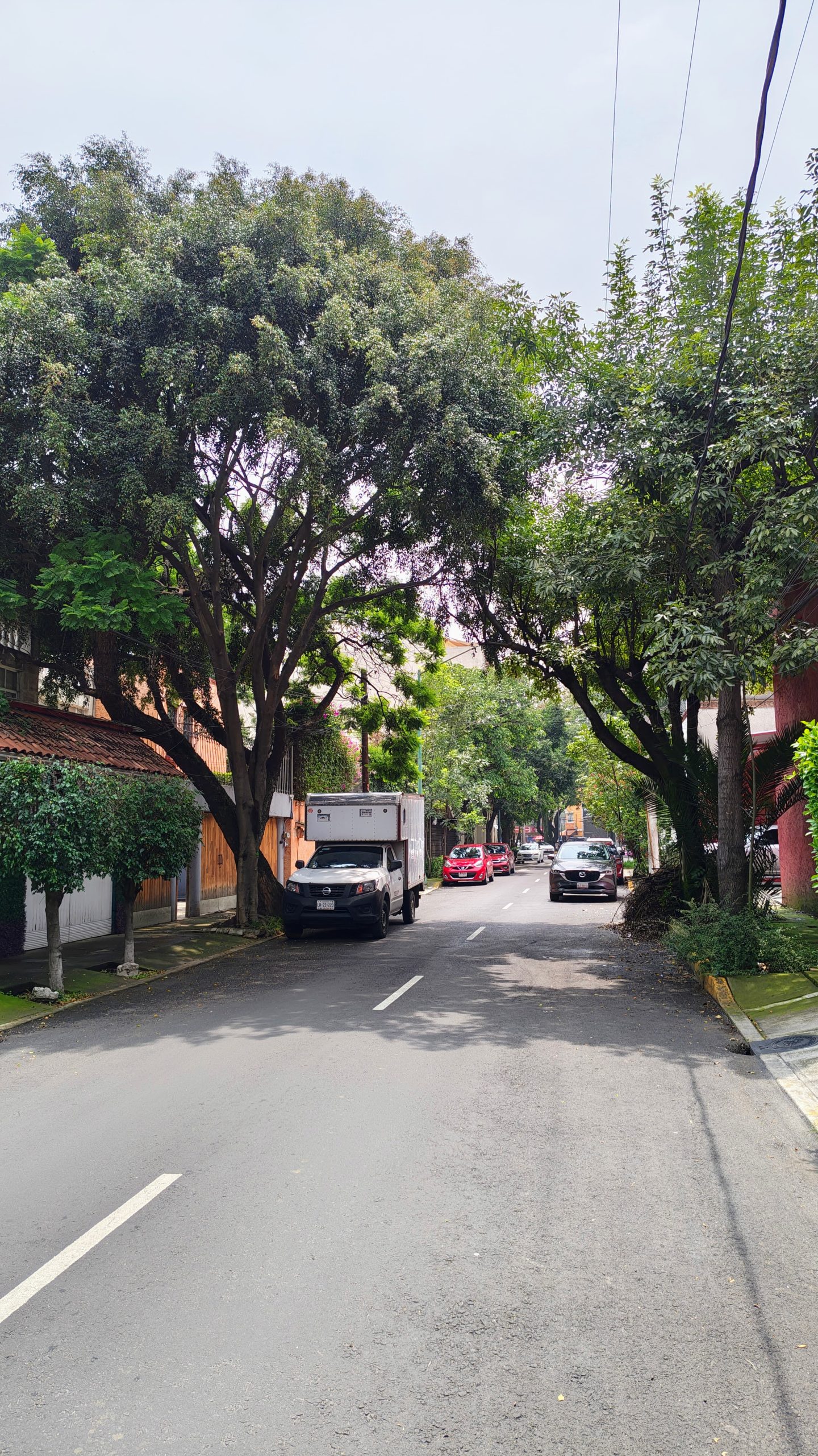 Departamento en Venta en Coyoacán: Oportunidad Única a $2.89 MDP - Imagen 35