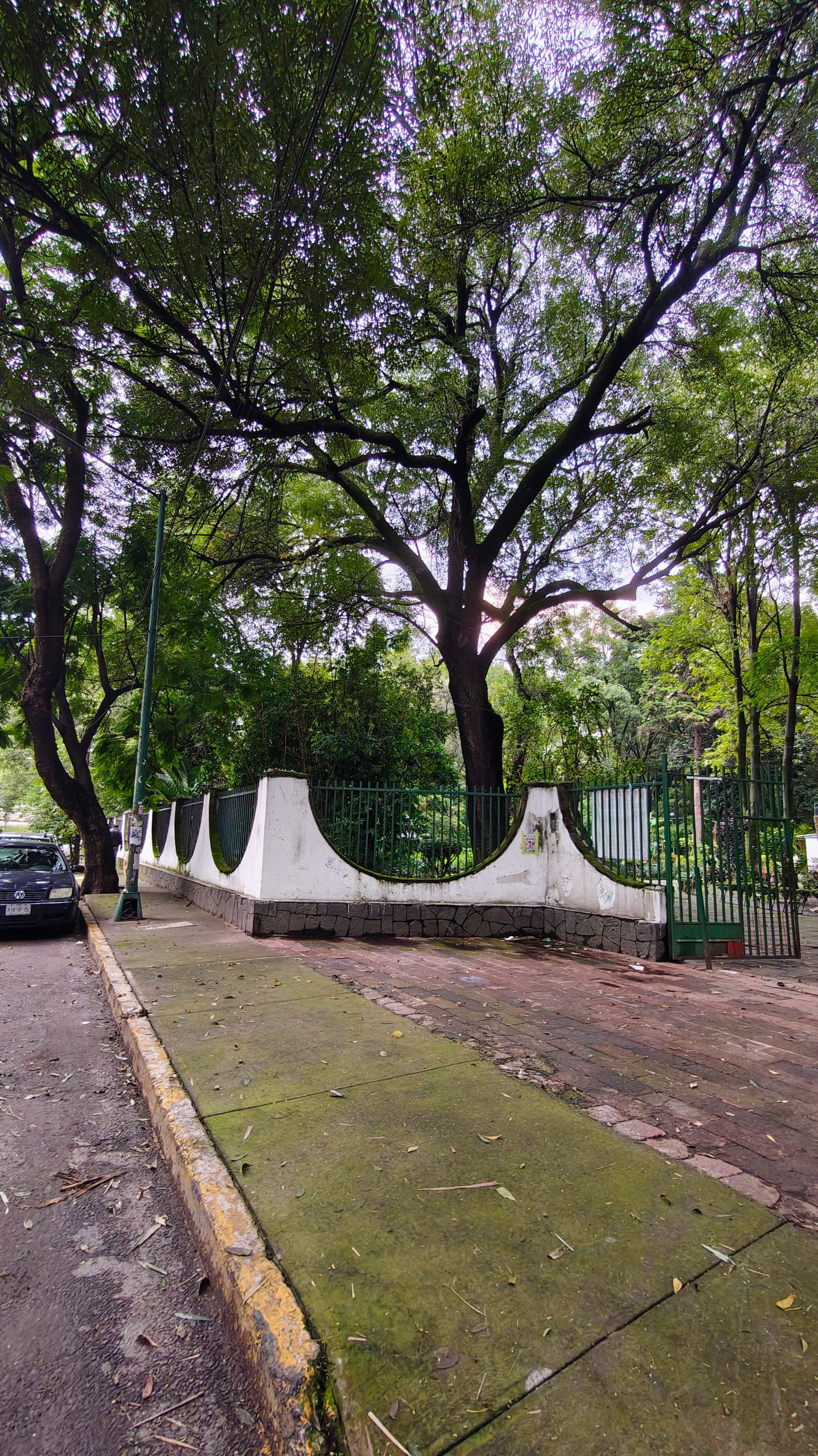 Departamento en Venta en Coyoacán: Oportunidad Única a $2.89 MDP - Imagen 37