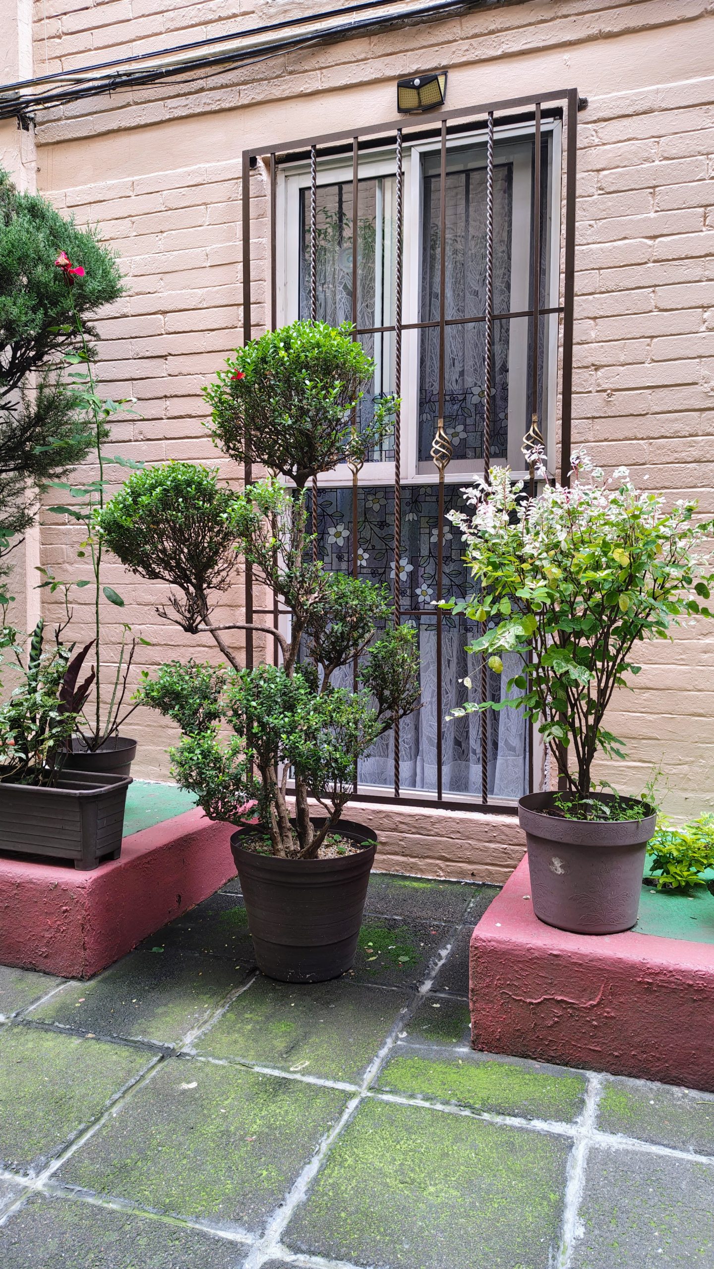 Departamento en Venta en Coyoacán: Oportunidad Única a $2.89 MDP - Imagen 29