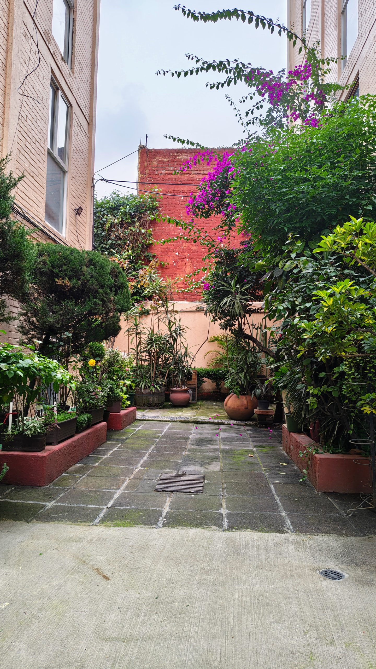 Departamento en Venta en Coyoacán: Oportunidad Única a $2.89 MDP - Imagen 31